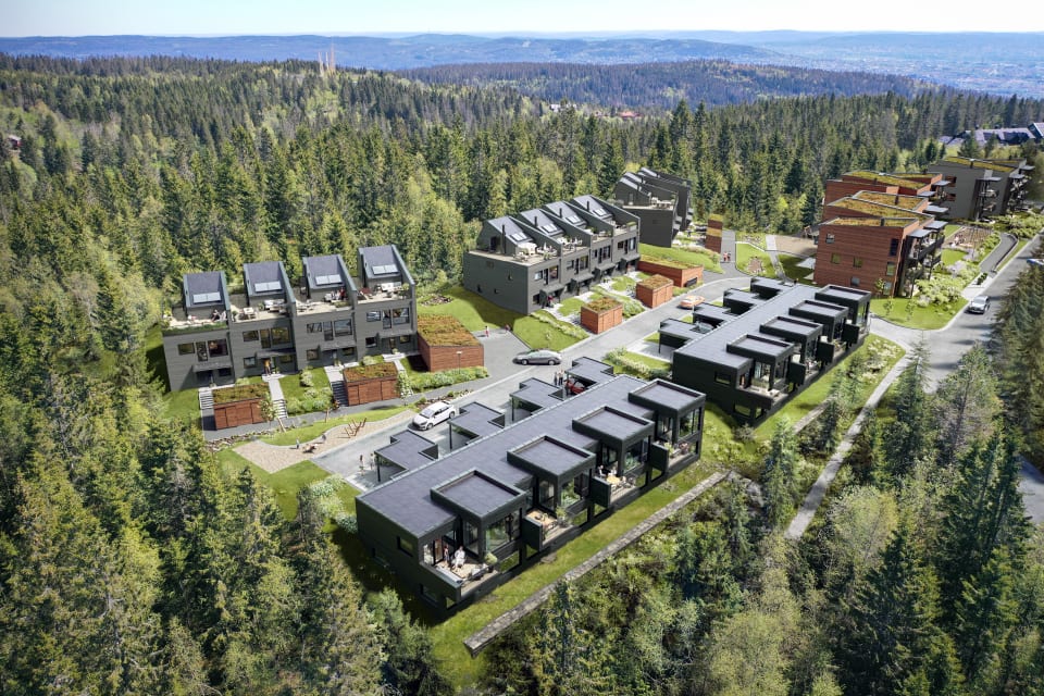 Vitigrend – boliger
